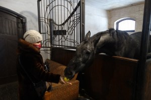 Экскурсия в Залесье